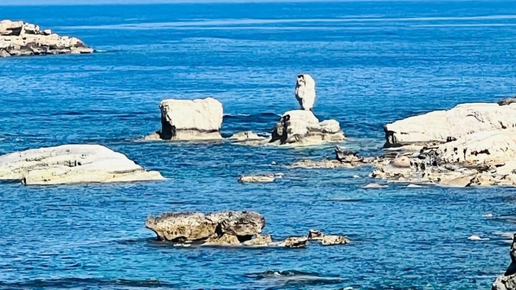 Їсти, молитися, пити. Кіпр – острів сили, обжерливості, молитов і задоволень 86 Їсти, молитися, пити. Кіпр – острів сили, обжерливості, молитов і задоволень