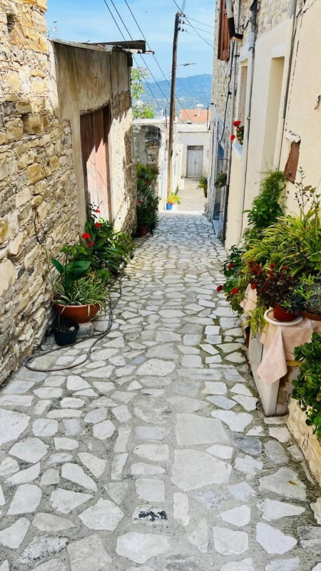 Їсти, молитися, пити. Кіпр – острів сили, обжерливості, молитов і задоволень 171 Їсти, молитися, пити. Кіпр – острів сили, обжерливості, молитов і задоволень