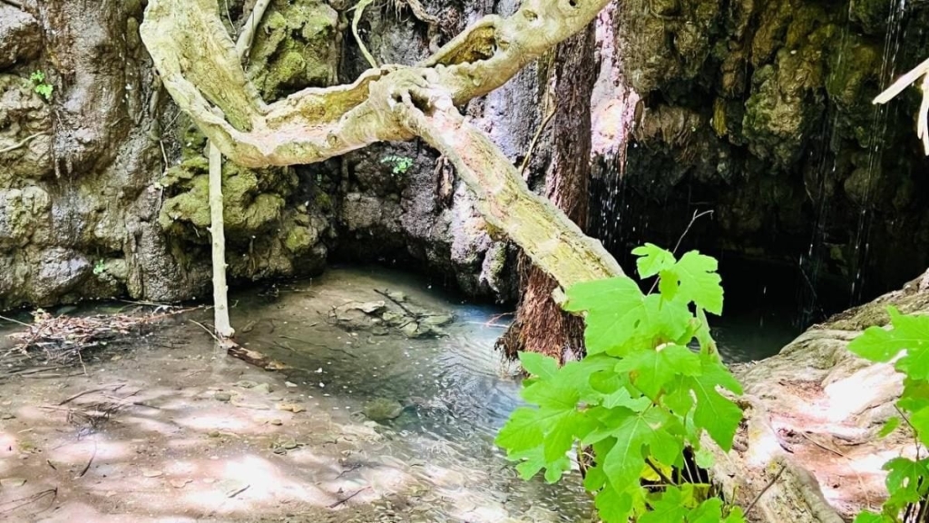 Їсти, молитися, пити. Кіпр – острів сили, обжерливості, молитов і задоволень 78 Їсти, молитися, пити. Кіпр – острів сили, обжерливості, молитов і задоволень