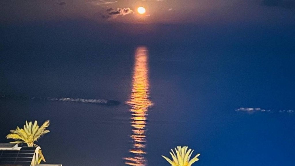 Їсти, молитися, пити. Кіпр – острів сили, обжерливості, молитов і задоволень 24 Їсти, молитися, пити. Кіпр – острів сили, обжерливості, молитов і задоволень