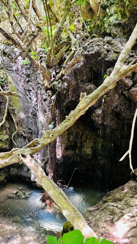 Їсти, молитися, пити. Кіпр – острів сили, обжерливості, молитов і задоволень 80 Їсти, молитися, пити. Кіпр – острів сили, обжерливості, молитов і задоволень