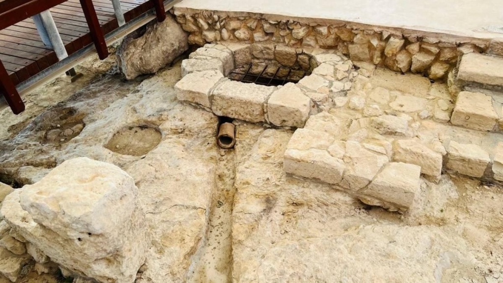 Їсти, молитися, пити. Кіпр – острів сили, обжерливості, молитов і задоволень 116 Їсти, молитися, пити. Кіпр – острів сили, обжерливості, молитов і задоволень