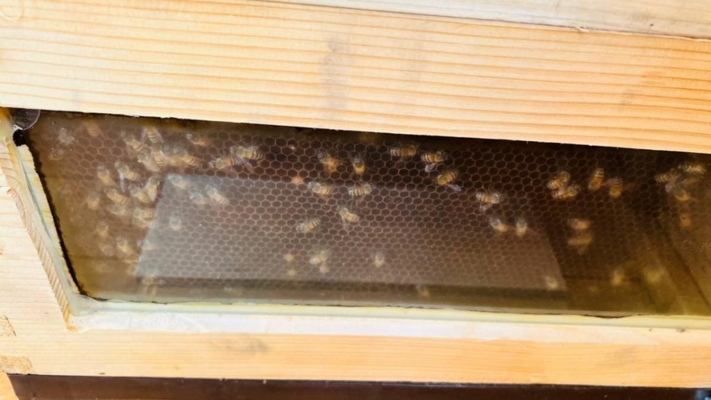 Їсти, молитися, пити. Кіпр – острів сили, обжерливості, молитов і задоволень 199 Їсти, молитися, пити. Кіпр – острів сили, обжерливості, молитов і задоволень