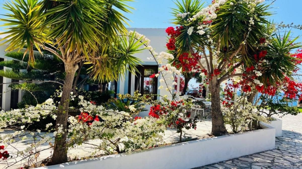 Їсти, молитися, пити. Кіпр – острів сили, обжерливості, молитов і задоволень 14 Їсти, молитися, пити. Кіпр – острів сили, обжерливості, молитов і задоволень