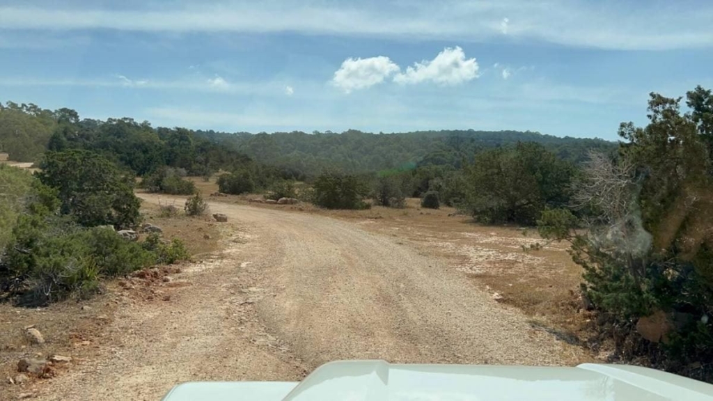 Їсти, молитися, пити. Кіпр – острів сили, обжерливості, молитов і задоволень 91 Їсти, молитися, пити. Кіпр – острів сили, обжерливості, молитов і задоволень