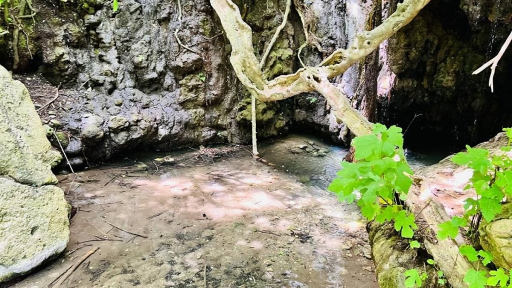 Їсти, молитися, пити. Кіпр – острів сили, обжерливості, молитов і задоволень 77 Їсти, молитися, пити. Кіпр – острів сили, обжерливості, молитов і задоволень