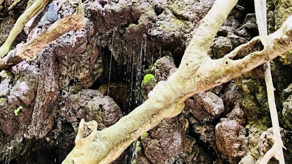 Їсти, молитися, пити. Кіпр – острів сили, обжерливості, молитов і задоволень 79 Їсти, молитися, пити. Кіпр – острів сили, обжерливості, молитов і задоволень