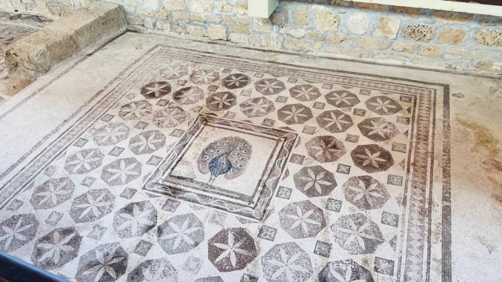 Їсти, молитися, пити. Кіпр – острів сили, обжерливості, молитов і задоволень 123 Їсти, молитися, пити. Кіпр – острів сили, обжерливості, молитов і задоволень