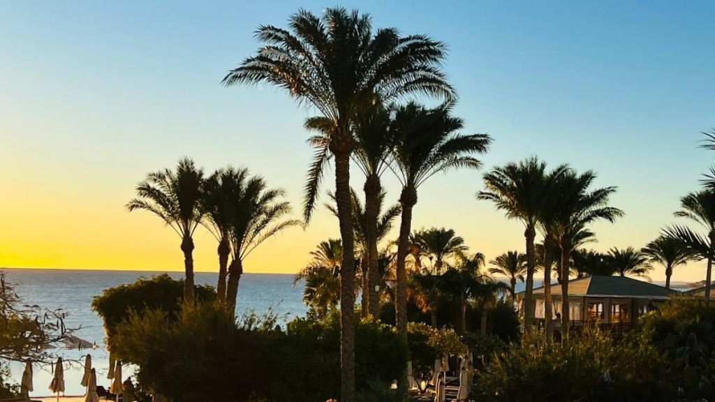 Їж, плавай, релаксуй: єгипетський відпочинок німецької якості 57 Їж, плавай, релаксуй: єгипетський відпочинок німецької якості