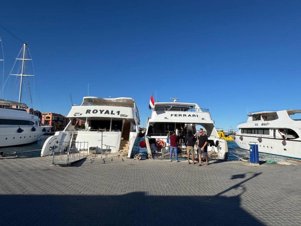 Їж, плавай, релаксуй: єгипетський відпочинок німецької якості 65 Їж, плавай, релаксуй: єгипетський відпочинок німецької якості