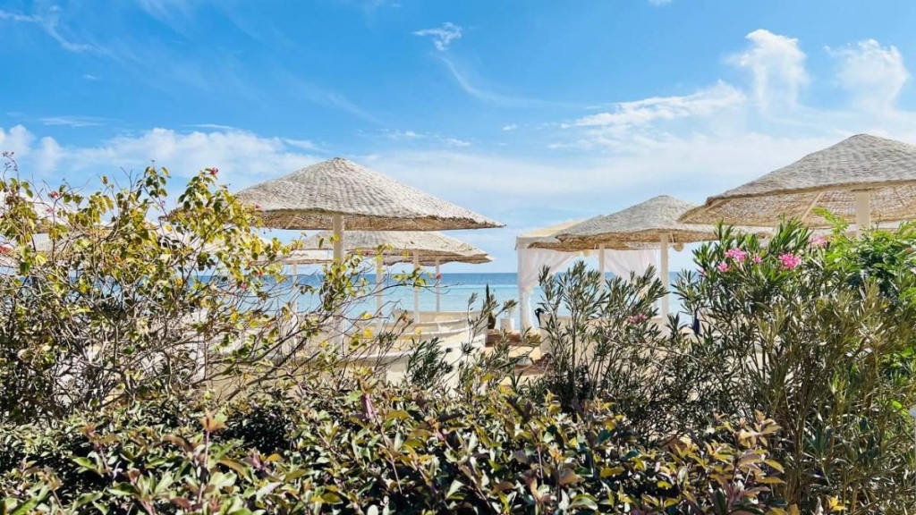 Їж, плавай, релаксуй: єгипетський відпочинок німецької якості 56 Їж, плавай, релаксуй: єгипетський відпочинок німецької якості