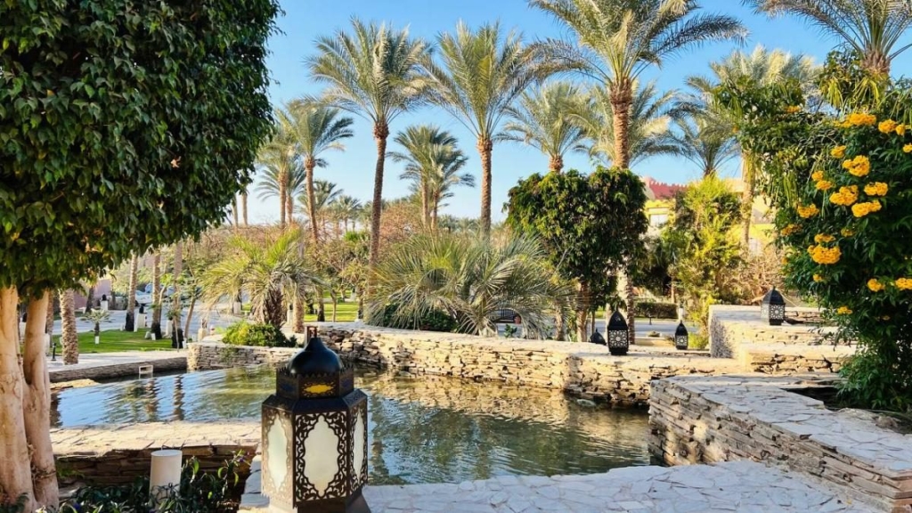 Їж, плавай, релаксуй: єгипетський відпочинок німецької якості 4 Їж, плавай, релаксуй: єгипетський відпочинок німецької якості