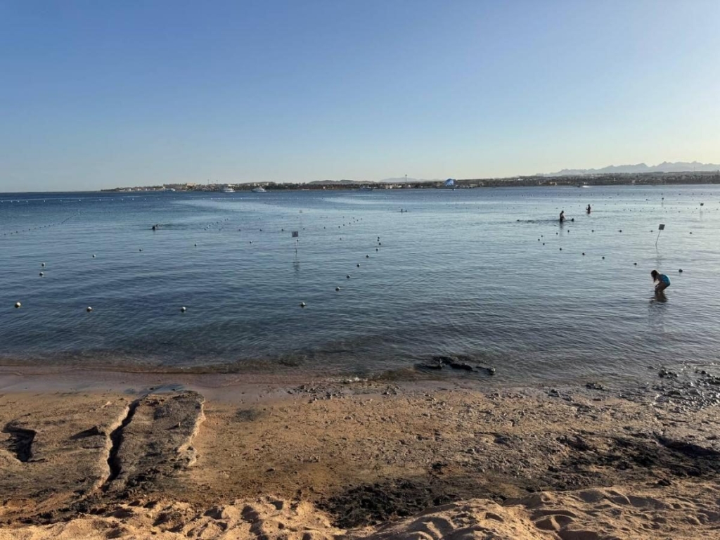 Їж, плавай, релаксуй: єгипетський відпочинок німецької якості 63 Їж, плавай, релаксуй: єгипетський відпочинок німецької якості