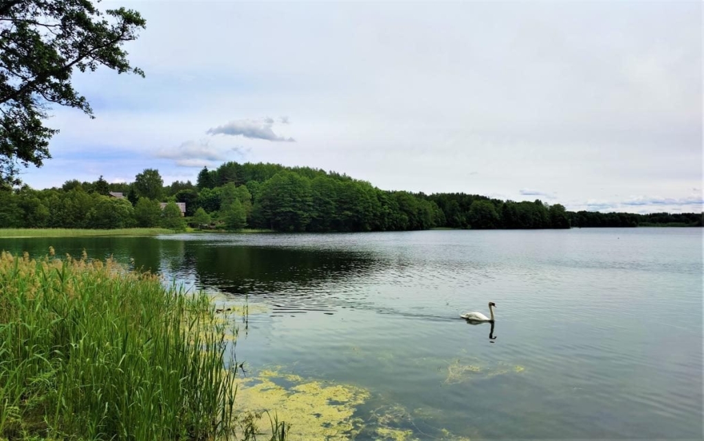 Затишний Тракай: стародавнє місто-фортеця посеред озер в 30 хвилинах від Вільнюса 8 Затишний Тракай: стародавнє місто-фортеця посеред озер в 30 хвилинах від Вільнюса