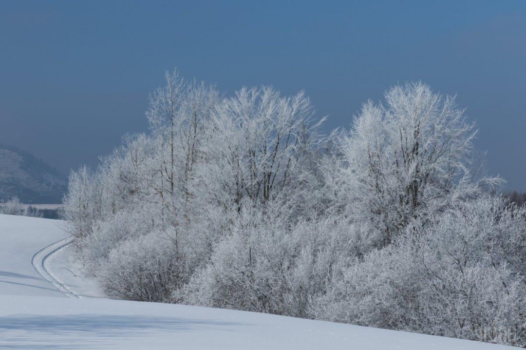 Зустріти Рік тигра: що пропонують туристам Львів, Одеса та Закарпаття 8 На Закарпатті шукають активний зимовий відпочинок / фото ТА