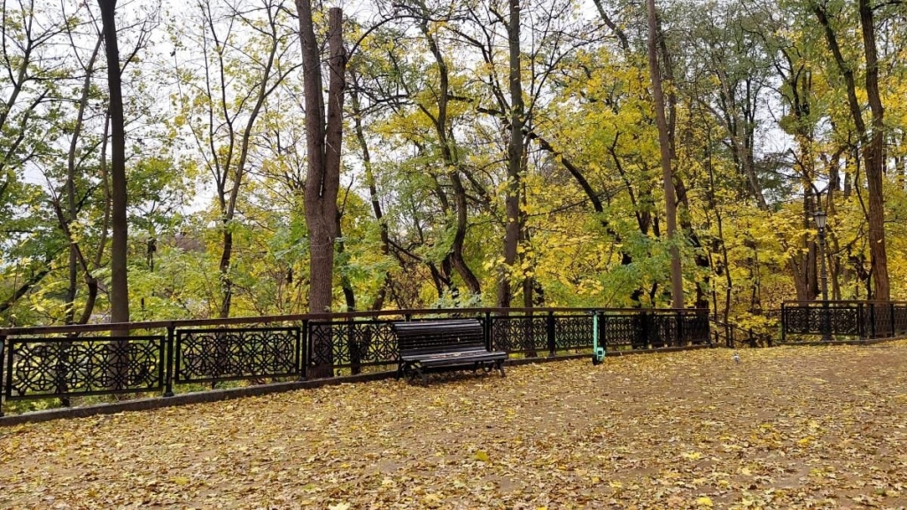 Яскраві фарби та мальовничі краєвиди: чим восени вражає Володимирська гірка у Києві (фото) 5 Яскраві фарби та мальовничі краєвиди: чим восени вражає Володимирська гірка у Києві (фото)