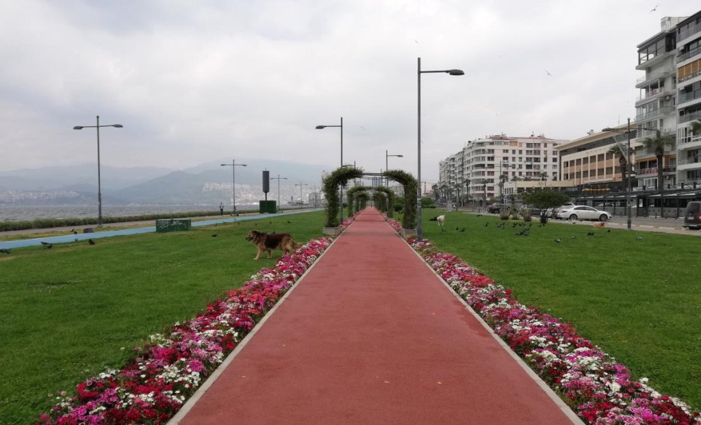 Ізмір: втеча від сірості в колоритне турецьке місто з грецьким корінням 27 Ізмір чудово проходить для прогулянок / фото Марина Григоренко