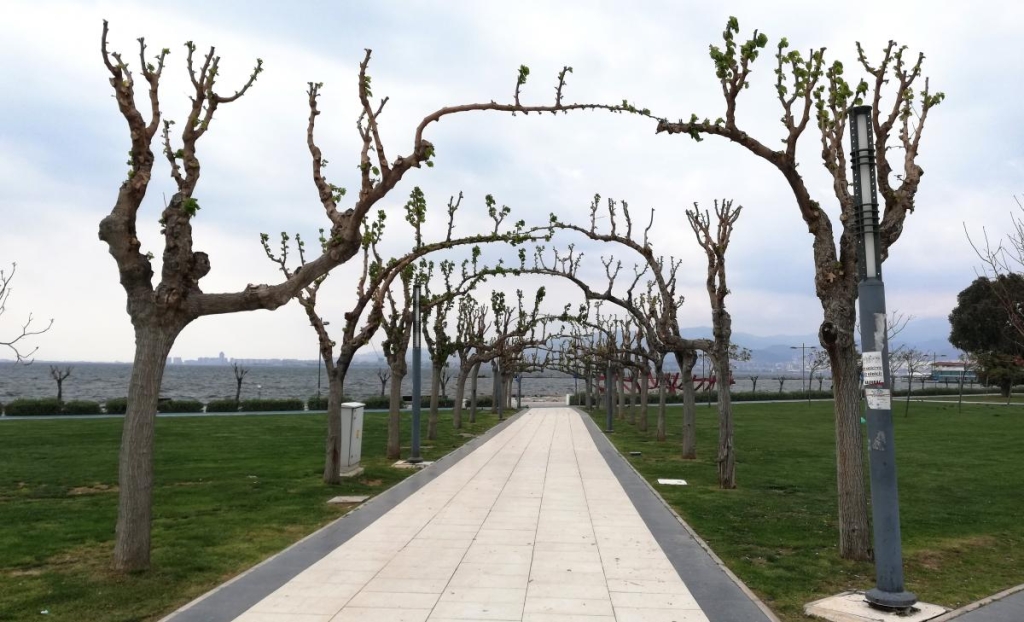 Ізмір: втеча від сірості в колоритне турецьке місто з грецьким корінням 32 Набережна Ізміра підходить суто для прогулянок / фото Марина Григоренко