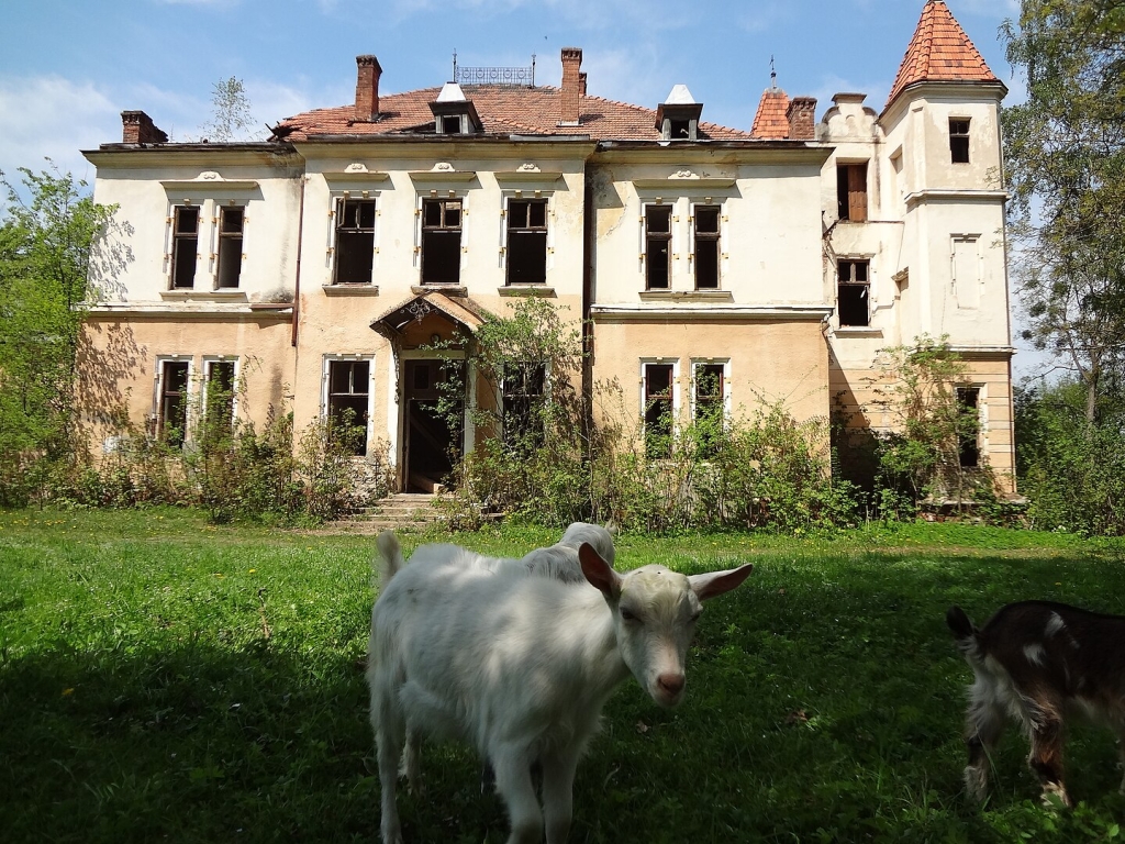Палац на Львівщині, який вважають проклятим і зараз бачать привидів: що про нього відомо Палац на Львівщині, який вважають проклятим і зараз бачать привидів: що про нього відомо 4