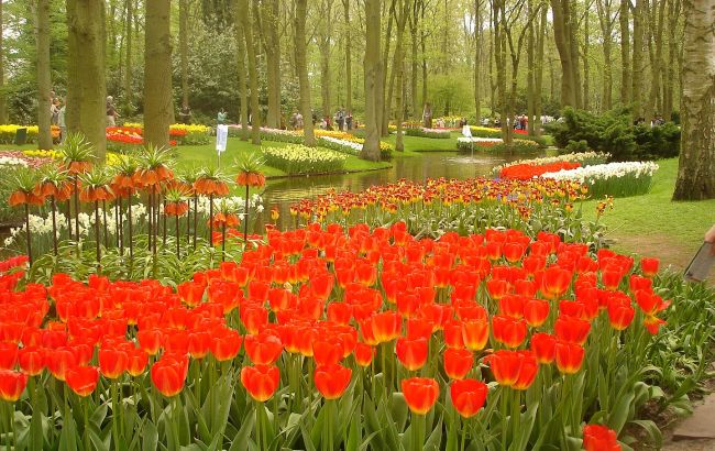 Туди мріють потрапити всі: 10 найкрасивіших ботанічних садів світу Туди мріють потрапити всі: 10 найкрасивіших ботанічних садів світу 1