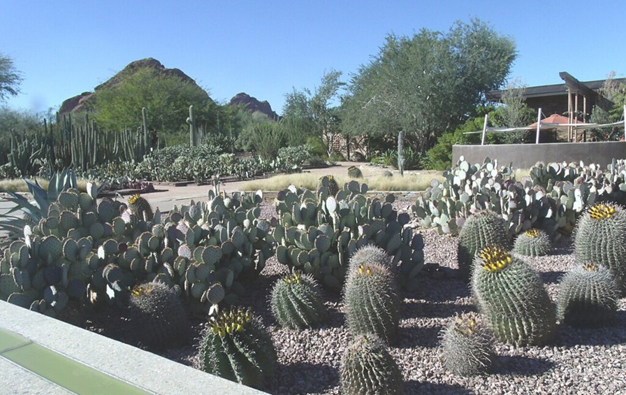 Туди мріють потрапити всі: 10 найкрасивіших ботанічних садів світу Туди мріють потрапити всі: 10 найкрасивіших ботанічних садів світу 7