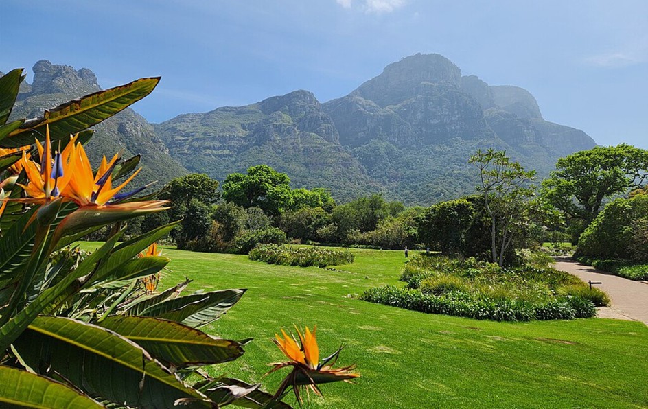 Туди мріють потрапити всі: 10 найкрасивіших ботанічних садів світу Туди мріють потрапити всі: 10 найкрасивіших ботанічних садів світу 4