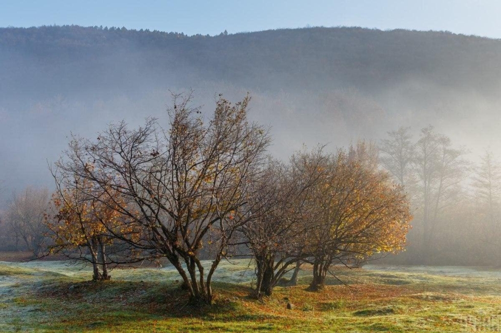 В Карпати восени: плюси і мінуси відпочинку в горах в міжсезоння 3 Плюси відпочинку в Карпатах восени однозначно переважають мінуси / фото ТА