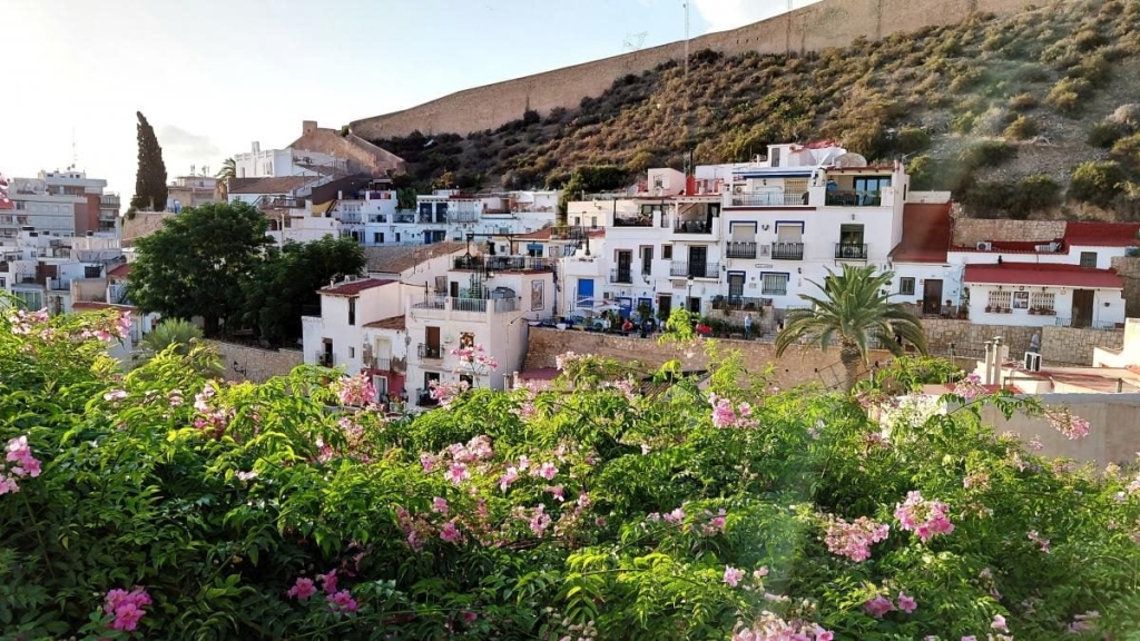 Аліканте: відмінний бюджетний курорт в Іспанії для пізнього сонця 9 Аліканте: відмінний бюджетний курорт в Іспанії для пізнього сонця