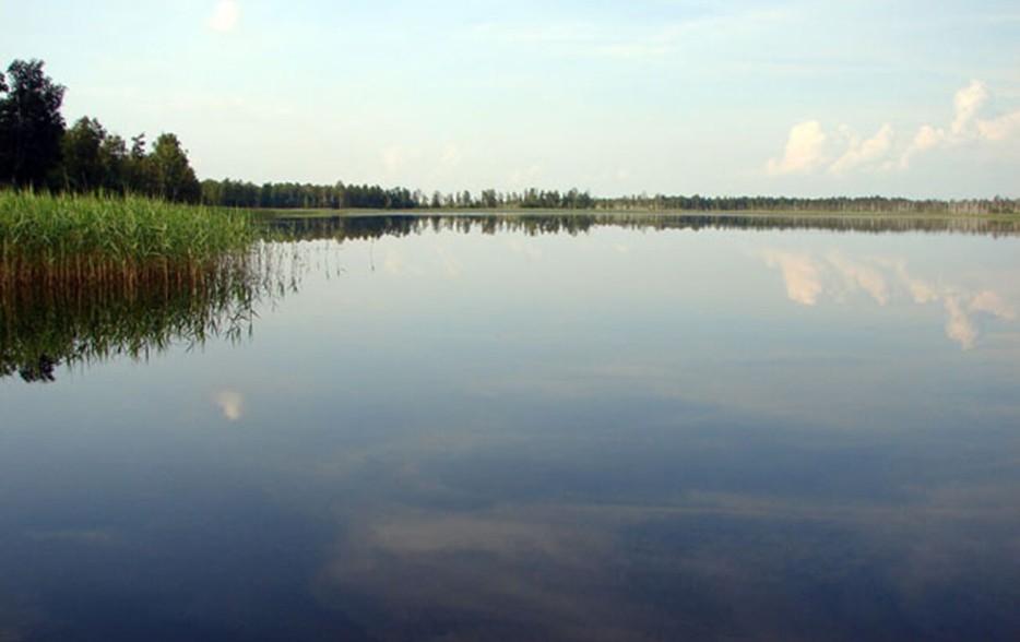 Де в Україні видно Чумацький Шлях неозброєним оком: топ-локації астротуризму Де в Україні видно Чумацький Шлях неозброєним оком: топ-локації астротуризму 7