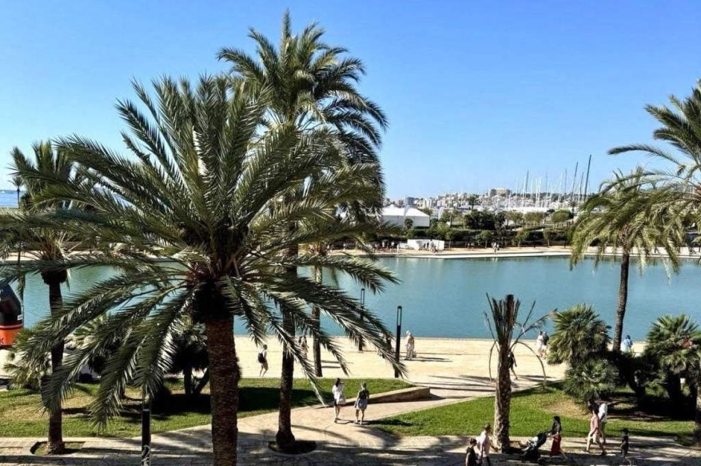 Майорка – середземноморський рай: коли їхати, що побачити і як відчути справжню душу острова 3 Майорка – середземноморський рай: коли їхати, що побачити і як відчути справжню душу острова