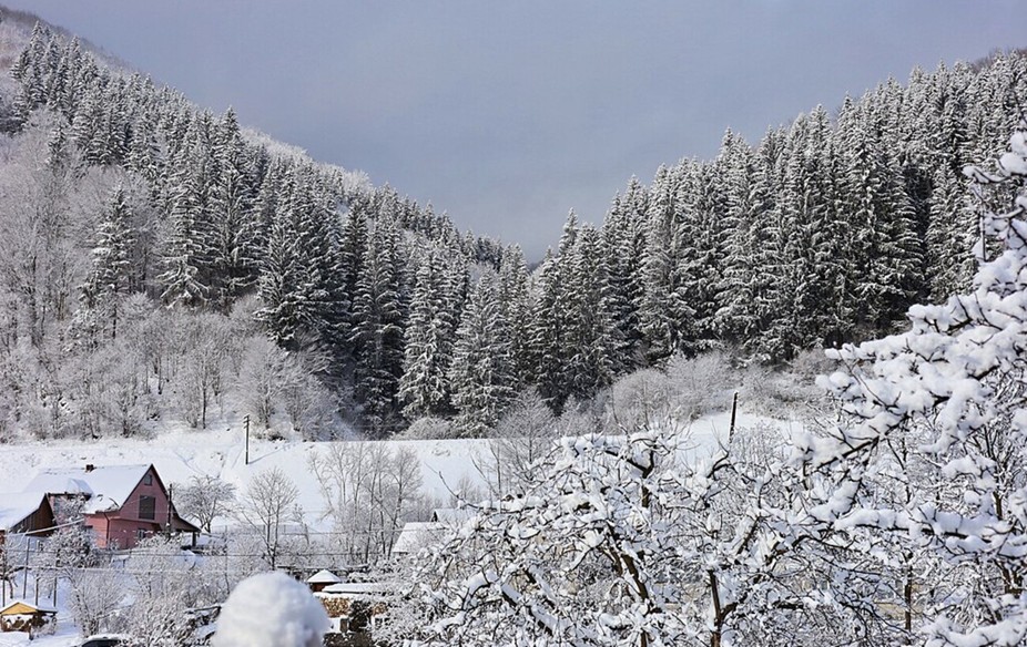 Відпочинок у Карпатах без Буковеля: найкращі альтернативи зимових курортів Відпочинок у Карпатах без Буковеля: найкращі альтернативи зимових курортів 8