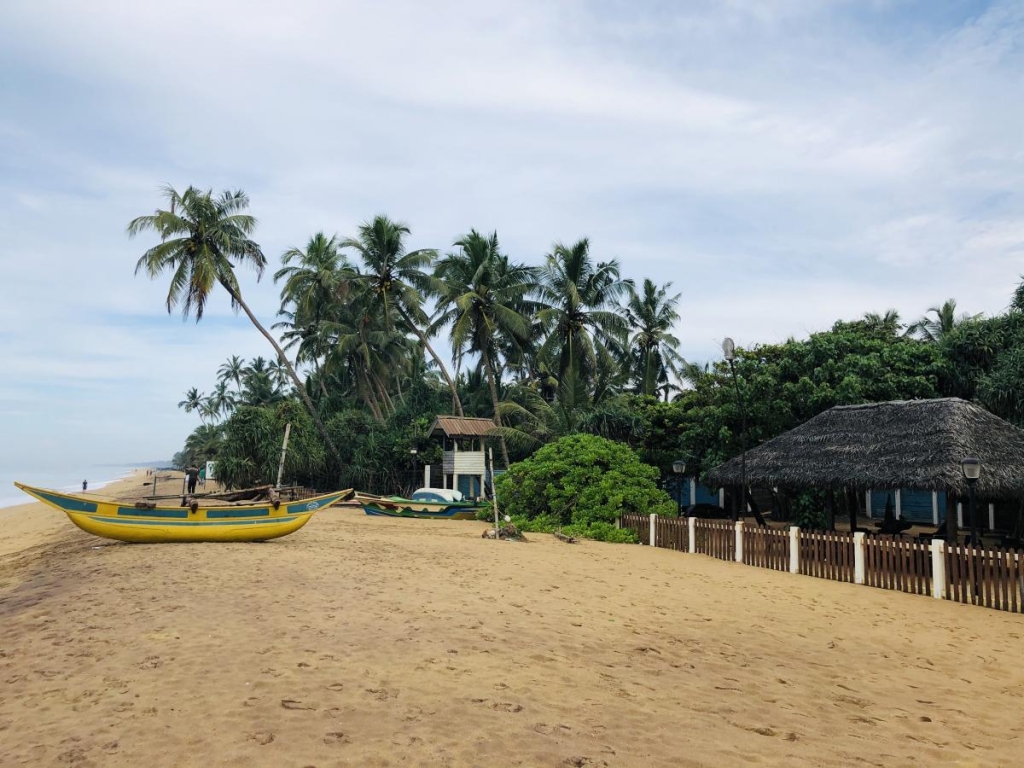 Втеча від блекауту: куди заховатись з дітьми на зимівку 5 Зимівка на Шрі-Ланці є доволі вигідним варіантом / Фото Вероніка Кордон