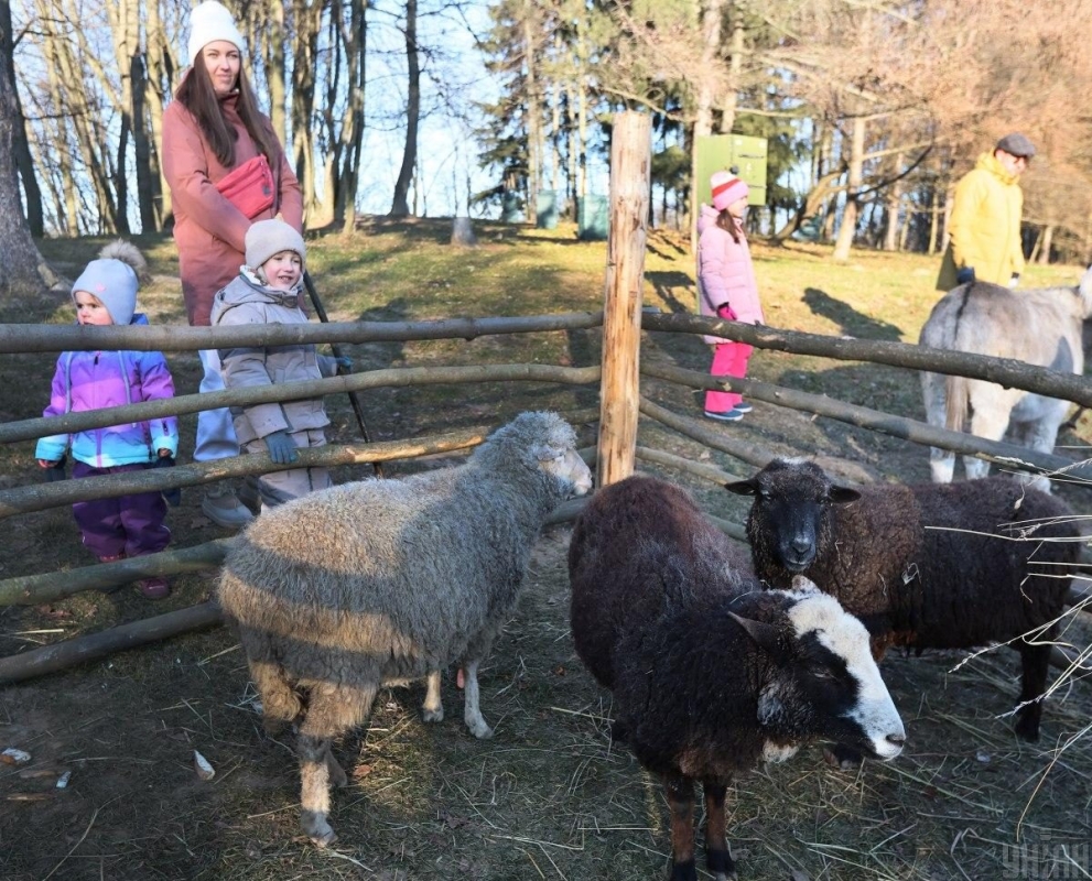 "Різдво в гаю": у Львові стартував фестиваль різдвяних традицій (фото) 14 "Різдво в гаю": у Львові стартував фестиваль різдвяних традицій (фото)