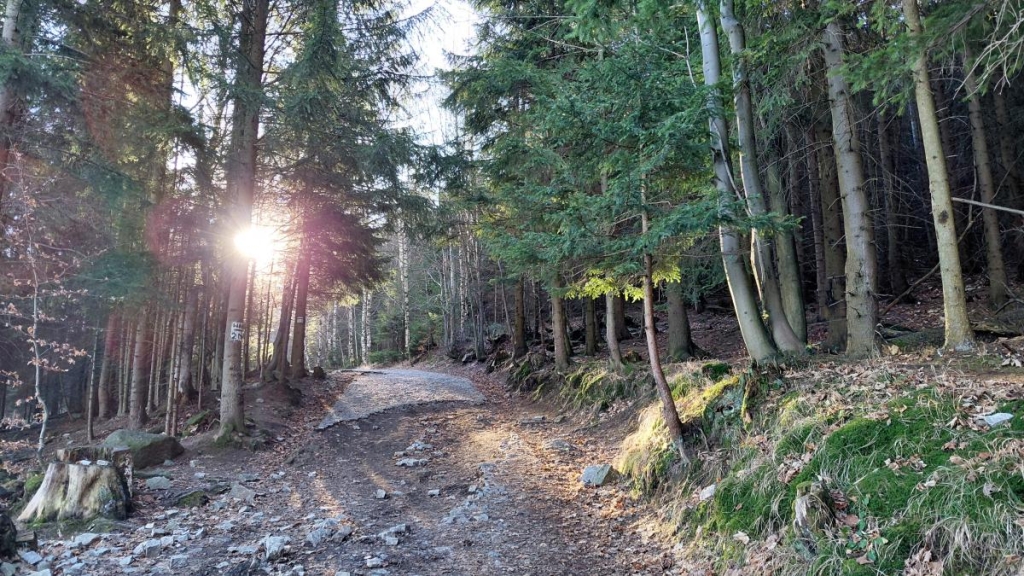 Гірська Польща: містичні Карконоші, ласкаві терми та унікальні церкви 55 Гірська Польща: містичні Карконоші, ласкаві терми та унікальні церкви