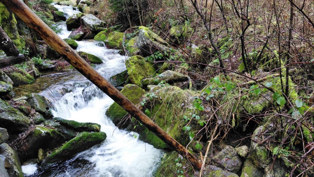 Гірська Польща: містичні Карконоші, ласкаві терми та унікальні церкви 18 Гірська Польща: містичні Карконоші, ласкаві терми та унікальні церкви