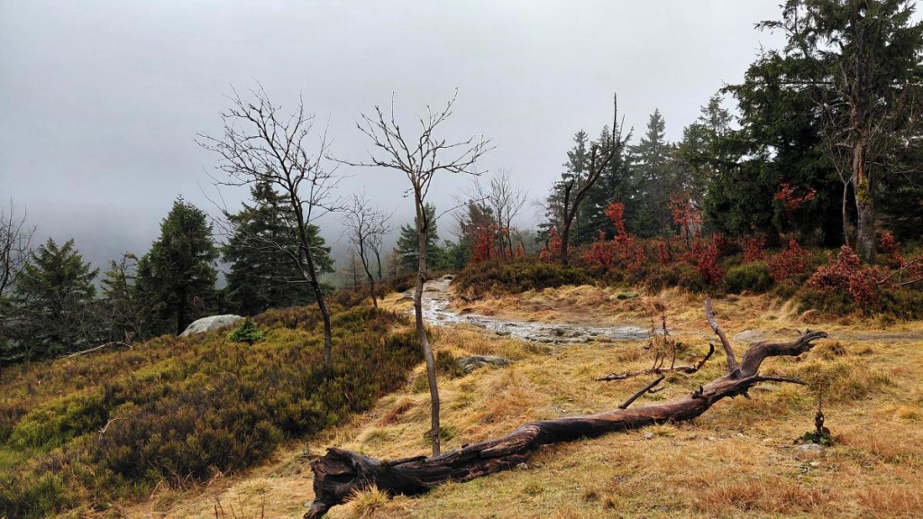 Гірська Польща: містичні Карконоші, ласкаві терми та унікальні церкви 27 Гірська Польща: містичні Карконоші, ласкаві терми та унікальні церкви