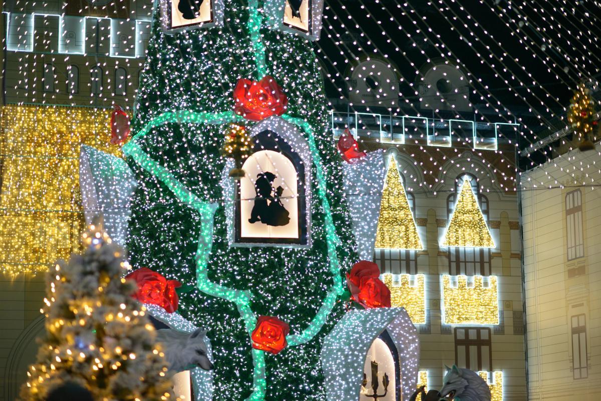 Різдвяний ажіотаж: стало відомо, де зараз найменші черги на кордоні у Львівській області 1 Різдвяний ажіотаж: стало відомо, де зараз найменші черги на кордоні у Львівській області