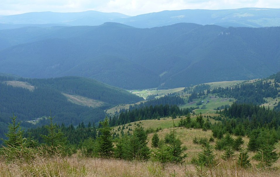 Секретна станція, фестивалі та корови "з гонором": як живуть у найважкодоступнішому селі України Секретна станція, фестивалі та корови "з гонором": як живуть у найважкодоступнішому селі України 2