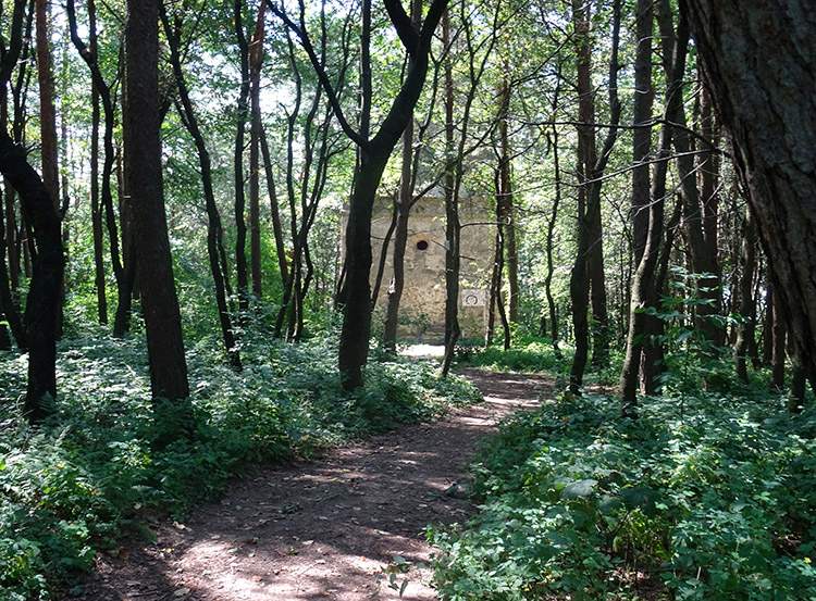 Аріанська вежа: загальний вигляд Загальний вигляд Аріанської вежі: гробниця Ожеховського в Криниці