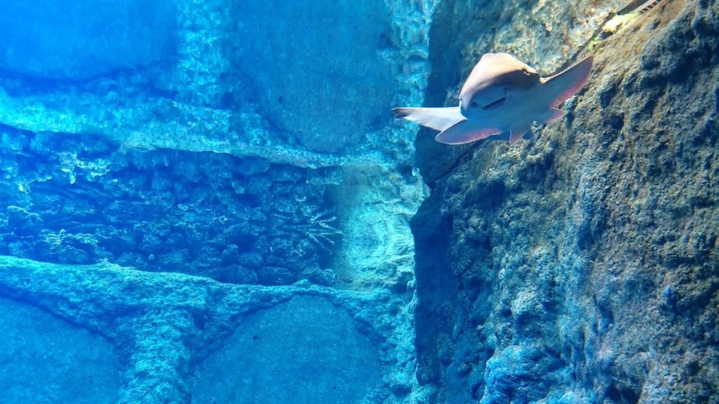 Вроцлав взимку: що подивитися і як зігрітися 20 Вроцлав взимку: що подивитися і як зігрітися