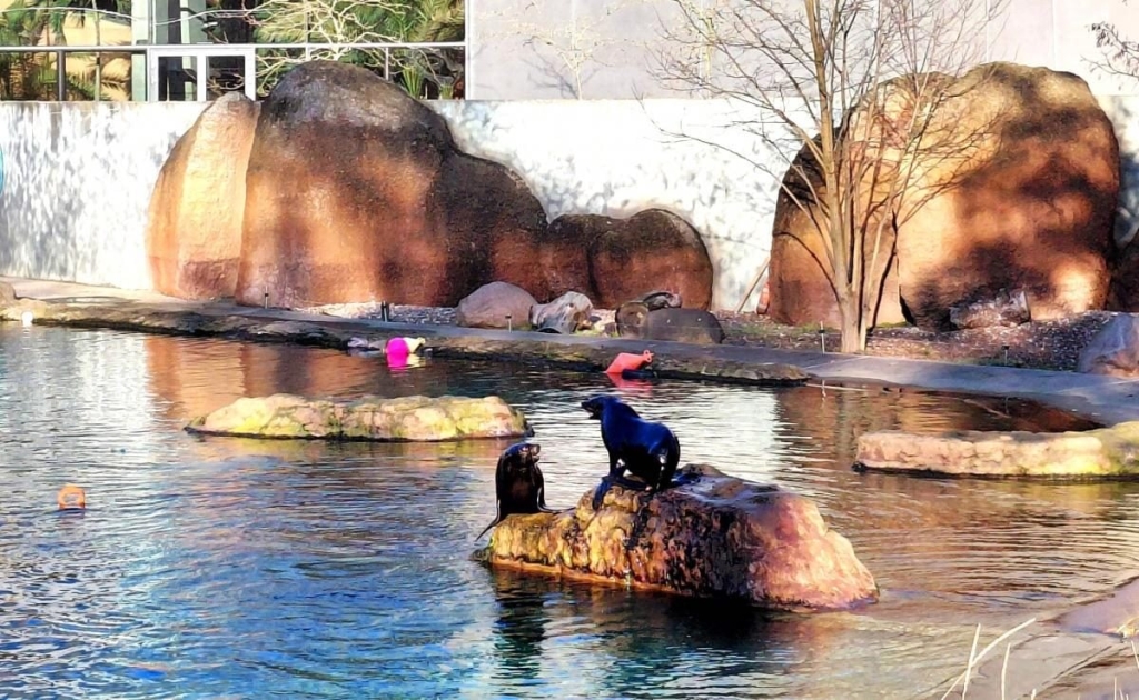 Вроцлав взимку: що подивитися і як зігрітися 27 Вроцлав взимку: що подивитися і як зігрітися