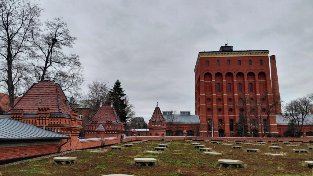 Вроцлав взимку: що подивитися і як зігрітися 49 Стара водонапірна вежа у Вроцлаві / фото Марина Григоренко