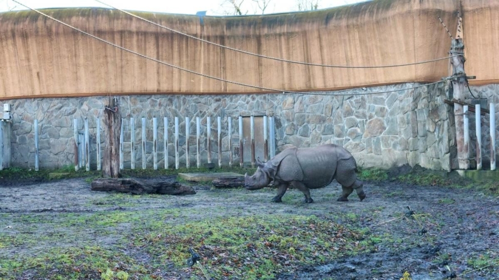 Вроцлав взимку: що подивитися і як зігрітися 32 Вроцлав взимку: що подивитися і як зігрітися