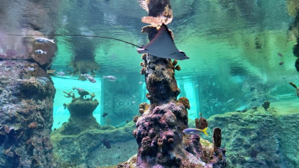 Вроцлав взимку: що подивитися і як зігрітися 23 Вроцлав взимку: що подивитися і як зігрітися