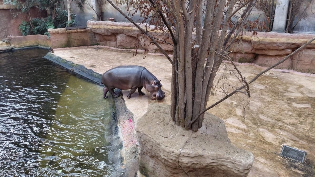 Вроцлав взимку: що подивитися і як зігрітися 24 Вроцлав взимку: що подивитися і як зігрітися