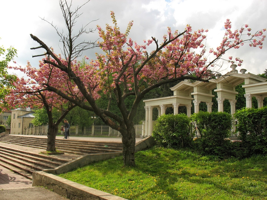 Життя на кістках: міста України та світу, збудовані на старих цвинтарях Життя на кістках: міста України та світу, збудовані на старих цвинтарях 7