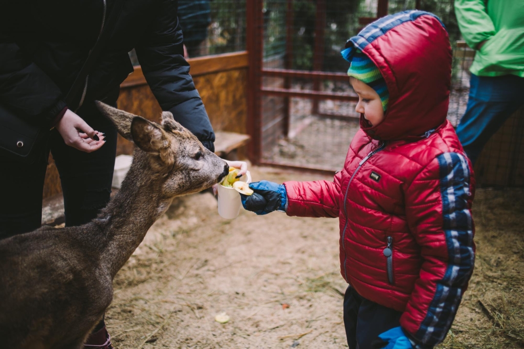 "Зимова країна" на ВДНГ: мегаковзанка, хатинка Санти та інші розваги для всієї сім'ї "Зимова країна" на ВДНГ: мегаковзанка, хатинка Санти та інші розваги для всієї сім'ї 10