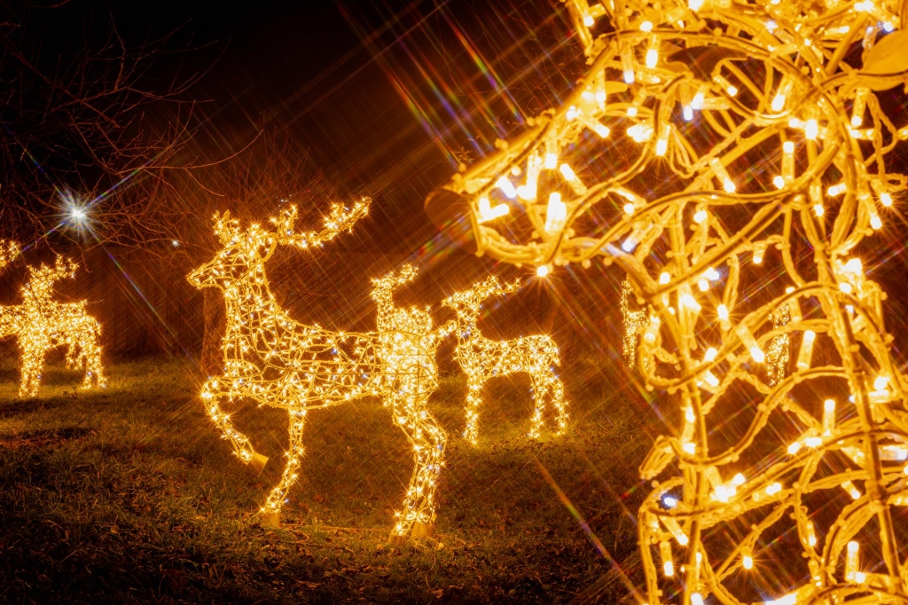 "Зимова країна" на ВДНГ: мегаковзанка, хатинка Санти та інші розваги для всієї сім'ї "Зимова країна" на ВДНГ: мегаковзанка, хатинка Санти та інші розваги для всієї сім'ї 6