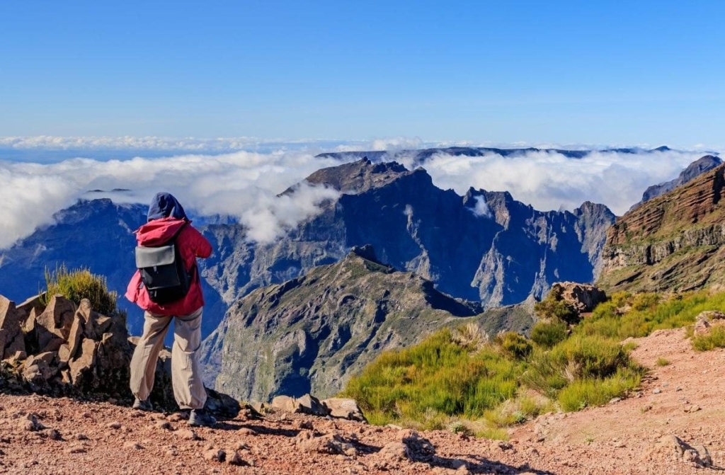 Мадейра – найбільш трендовий напрямок 2026 року: яка ситуація там у січні (фоторепортаж) 18 Мадейра – найбільш трендовий напрямок 2026 року: яка ситуація там у січні (фоторепортаж)