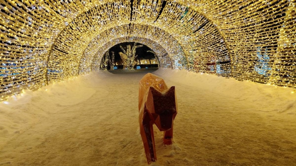 Магія світла: парк вогнів на ВДНГ під снігом засяяв по-новому (фоторепортаж, відео) 11 Магія світла: парк вогнів на ВДНГ під снігом засяяв по-новому (фоторепортаж, відео)